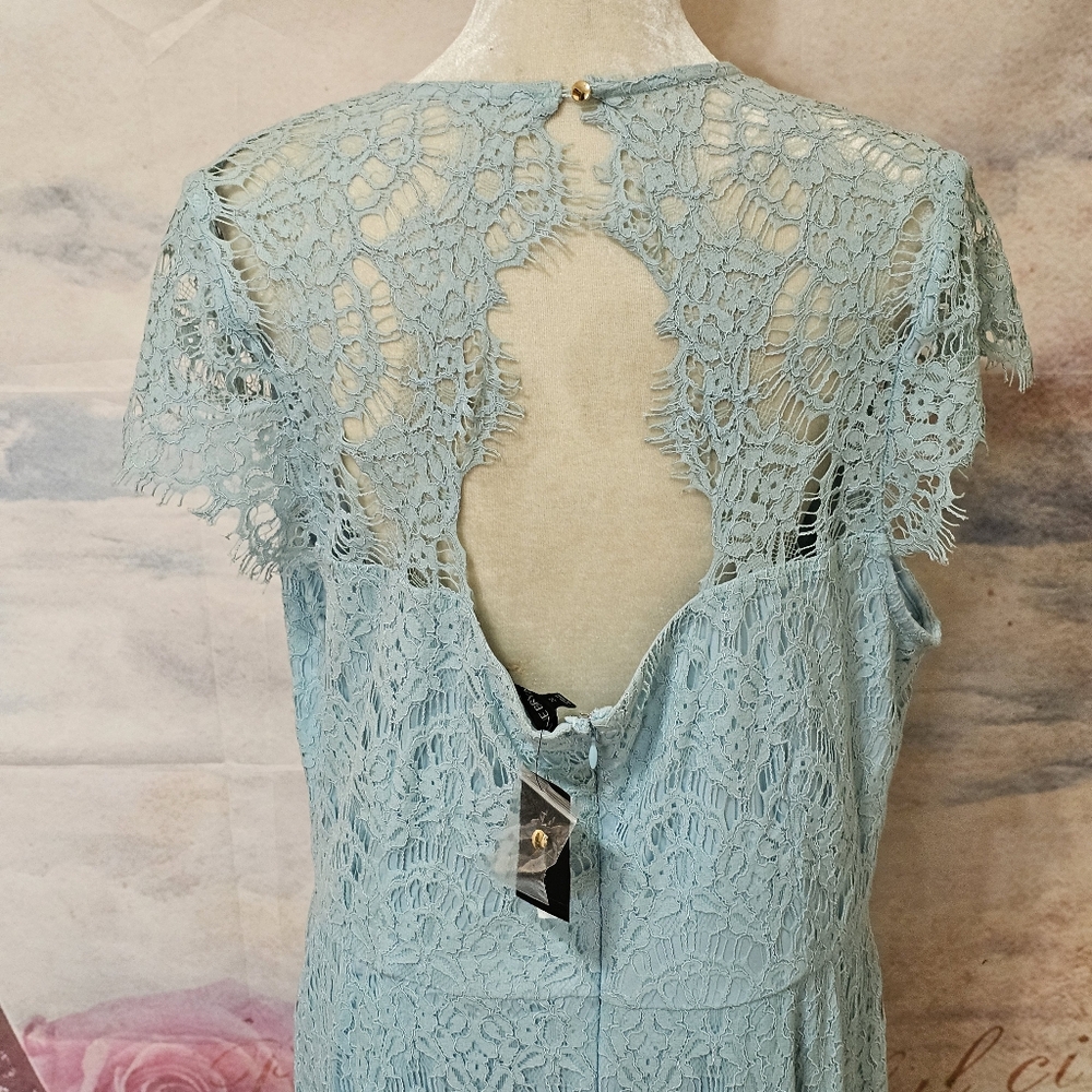 NWT Lane Bryant lace lined dress sz 22 - Picture 7 of 11